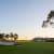 1 x Team of 12 Ticket (Early Bird) Golf@Yarra Yarra