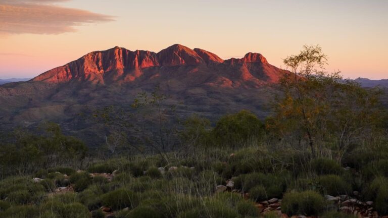 007-trek2cure-2026-larapinta-trail-002(1)