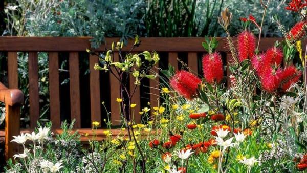 018-building-a-garden-finding-a-cancer-cure-001