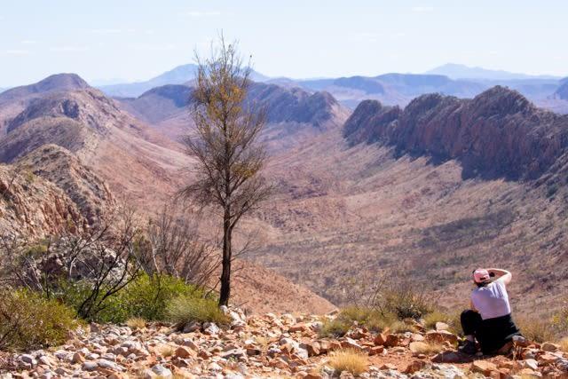 Trek2Cure 2024 Larapinta Trail